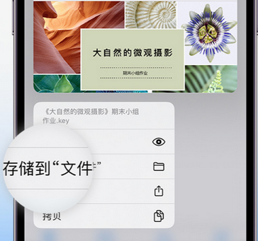 盐湖apple维修中心分享iPhone文件应用中存储和找到下载文件