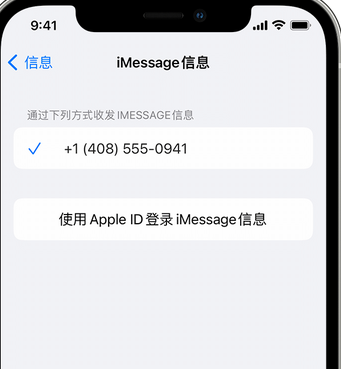 盐湖apple维修iPhone上无法正常发送iMessage信息 