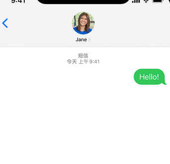 盐湖apple维修iPhone上无法正常发送iMessage信息