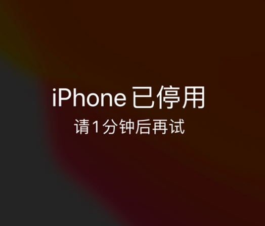 盐湖苹果手机维修分享:iPhone 显示“不可用”或“已停用”怎么办？还能保留数据吗？ 