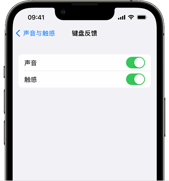 盐湖苹果14维修店分享如何在 iPhone 14 机型中使用触感键盘 