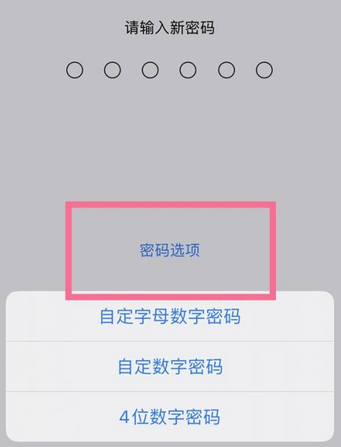 盐湖苹果14维修分享iPhone 14plus设置密码的方法 