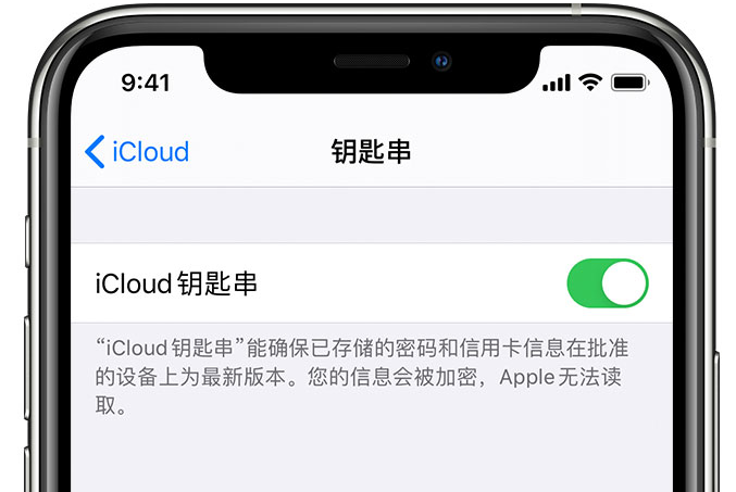 盐湖苹果手机维修分享在 iPhone 上开启 iCloud 钥匙串之后会储存哪些信息 