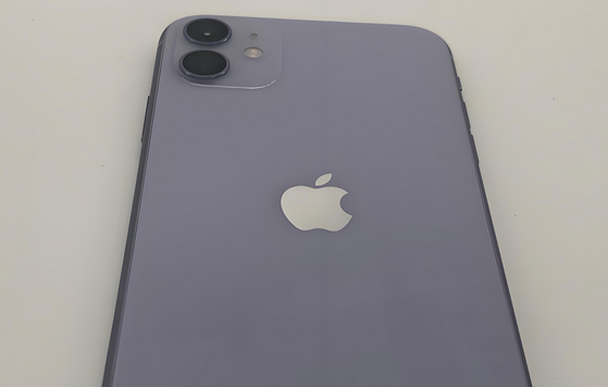 盐湖苹果11系统维修分享iPhone11手机系统崩溃无法开机如何解决